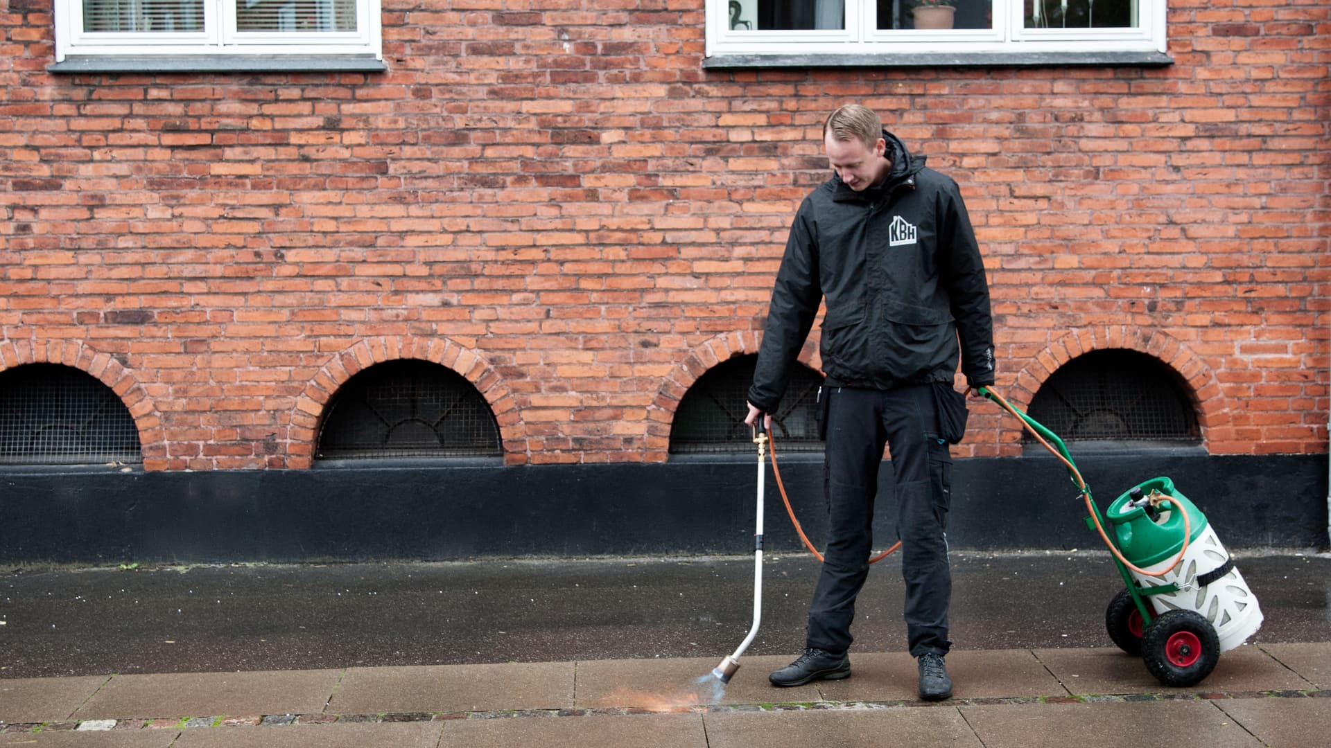 Linjen er døgnåben - billede 1
