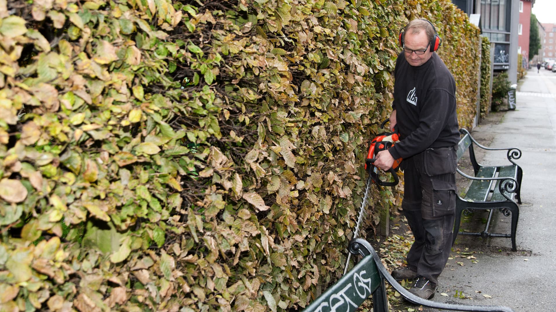 Hvad vi kan ordne for dig - billede 1